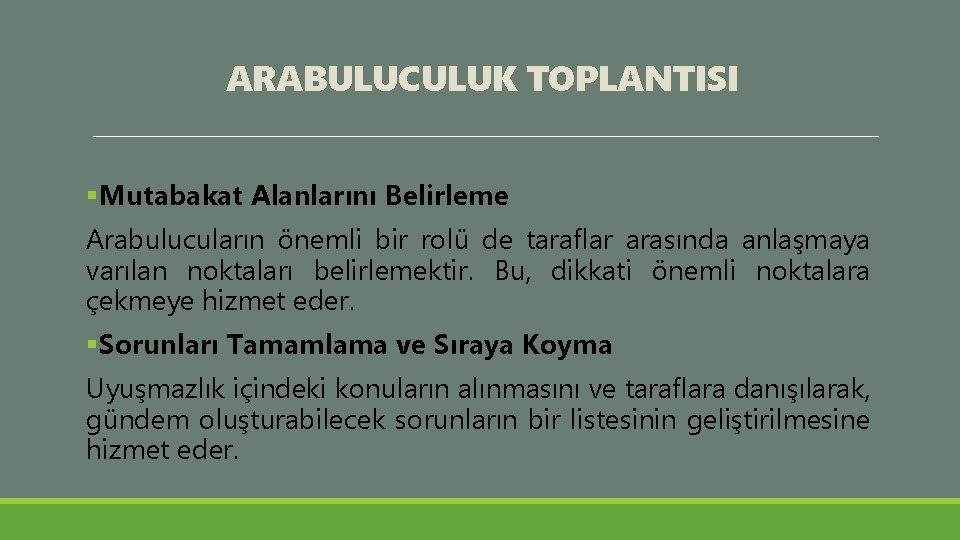 ARABULUCULUK TOPLANTISI §Mutabakat Alanlarını Belirleme Arabulucuların önemli bir rolü de taraflar arasında anlaşmaya varılan