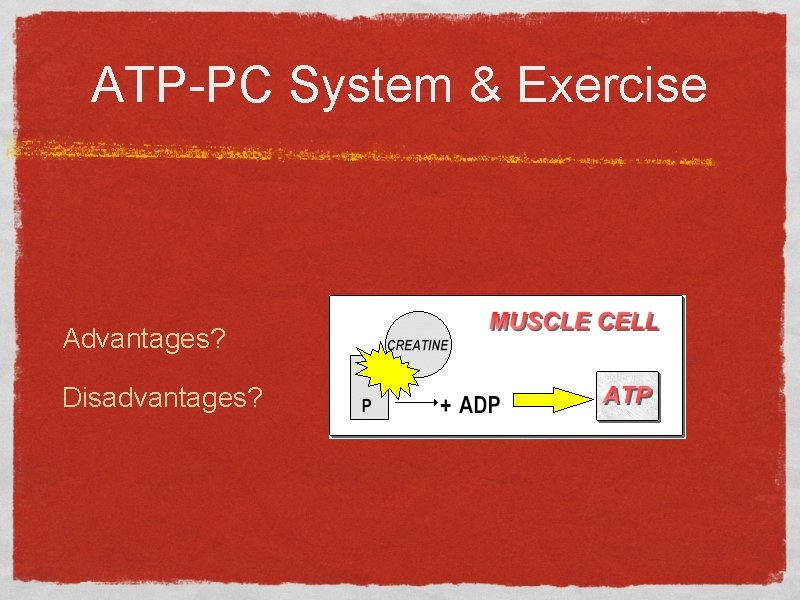 ATP-PC System & Exercise Advantages? Disadvantages? 