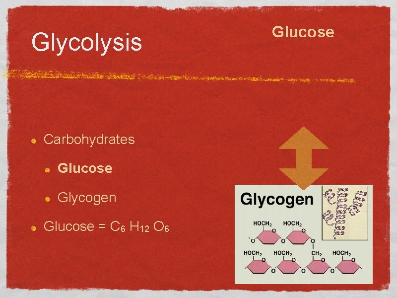 Glycolysis Carbohydrates Glucose Glycogen Glucose = C 6 H 12 O 6 Glucose 