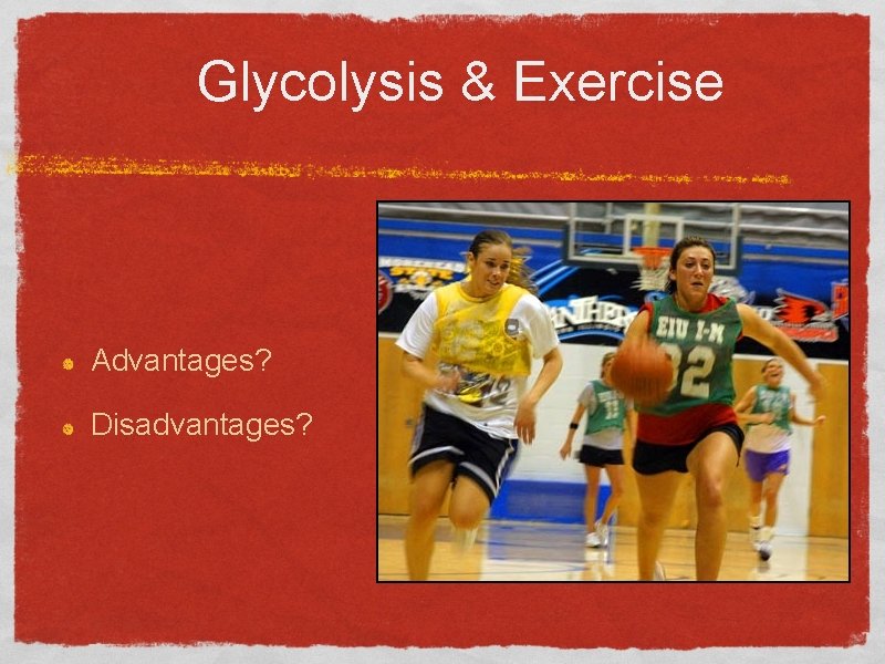 Glycolysis & Exercise Advantages? Disadvantages? 