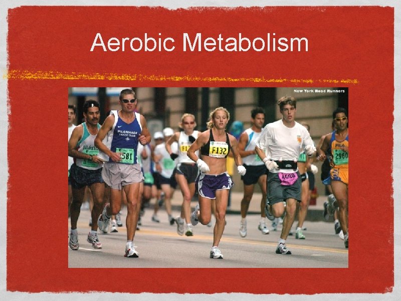 Aerobic Metabolism 