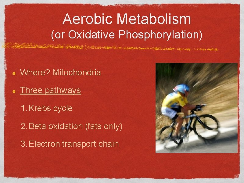 Aerobic Metabolism (or Oxidative Phosphorylation) Where? Mitochondria Three pathways 1. Krebs cycle 2. Beta