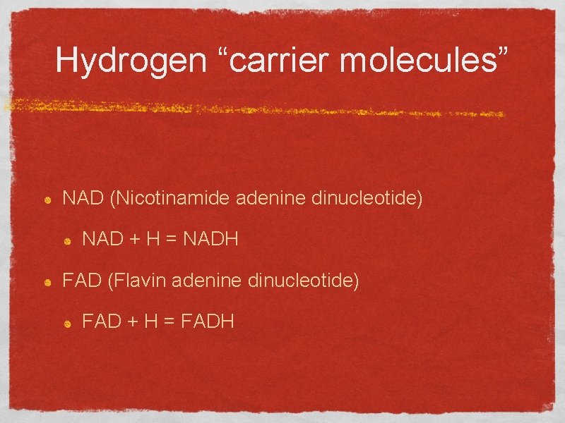 Hydrogen “carrier molecules” NAD (Nicotinamide adenine dinucleotide) NAD + H = NADH FAD (Flavin