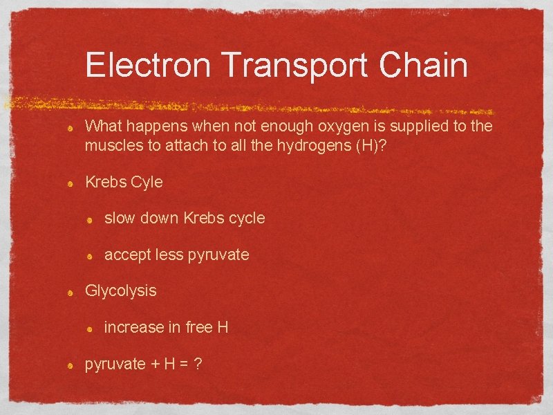 Electron Transport Chain What happens when not enough oxygen is supplied to the muscles