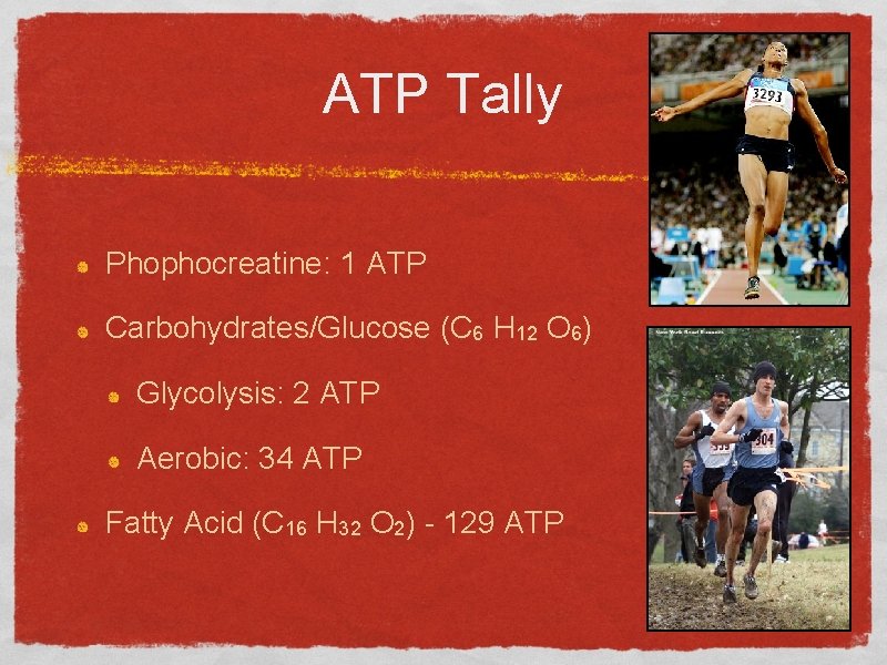 ATP Tally Phophocreatine: 1 ATP Carbohydrates/Glucose (C 6 H 12 O 6) Glycolysis: 2