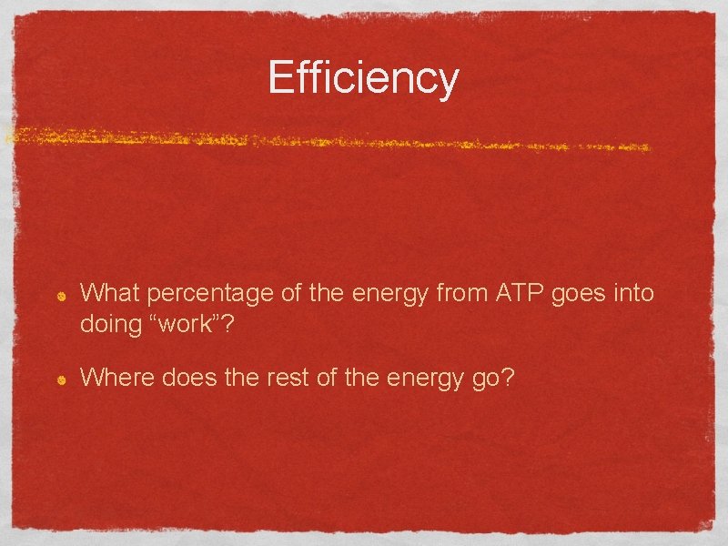 Efficiency What percentage of the energy from ATP goes into doing “work”? Where does