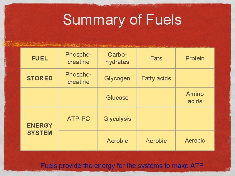 Summary of Fuels FUEL Phosphocreatine Carbohydrates Fats STORED Phosphocreatine Glycogen Fatty acids Amino acids