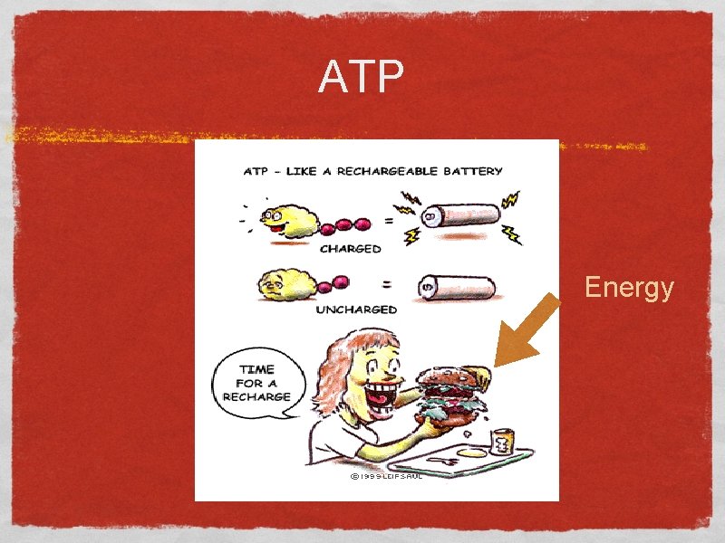 ATP Energy 