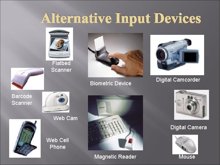Alternative Input Devices Flatbed Scanner Biometric Device Digital Camcorder Barcode Scanner Web Cam Digital Alternative Input Devices Flatbed Scanner Biometric Device Digital Camcorder Barcode Scanner Web Cam Digital