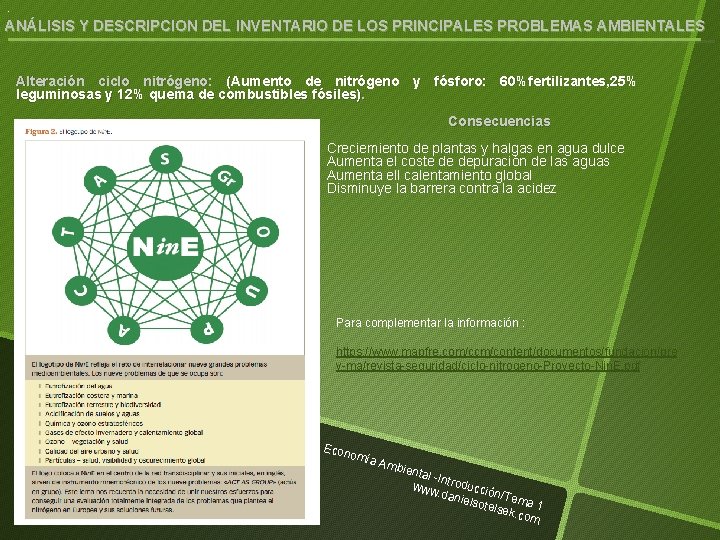 . ANÁLISIS Y DESCRIPCION DEL INVENTARIO DE LOS PRINCIPALES PROBLEMAS AMBIENTALES Alteración ciclo nitrógeno: