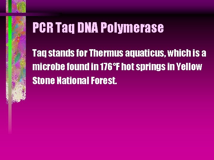 PCR Taq DNA Polymerase Taq stands for Thermus aquaticus, which is a microbe found