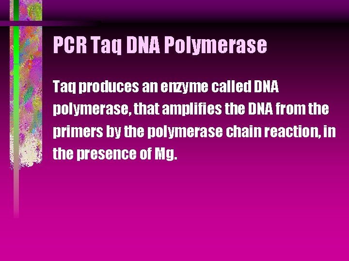 PCR Taq DNA Polymerase Taq produces an enzyme called DNA polymerase, that amplifies the