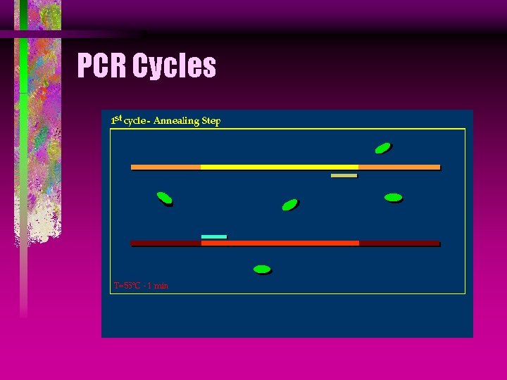 PCR Cycles 