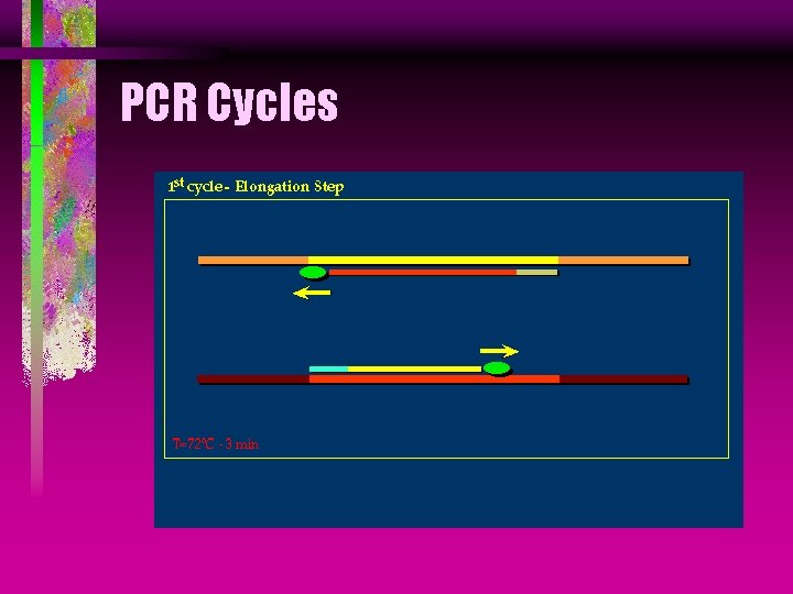 PCR Cycles 