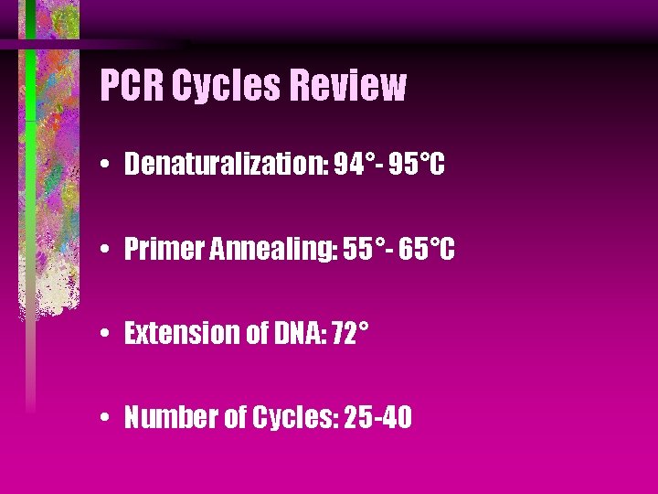 PCR Cycles Review • Denaturalization: 94°- 95°C • Primer Annealing: 55°- 65°C • Extension