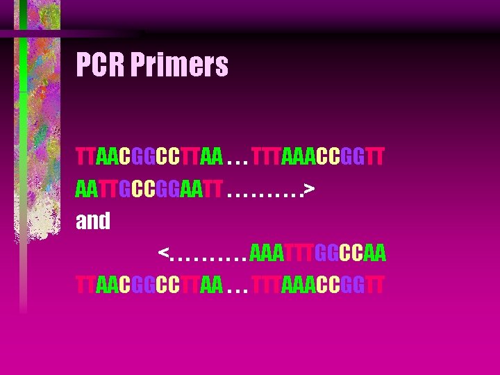 PCR Primers TTAACGGCCTTAA. . . TTTAAACCGGTT AATTGCCGGAATT. . > and <. . AAATTTGGCCAA TTAACGGCCTTAA.