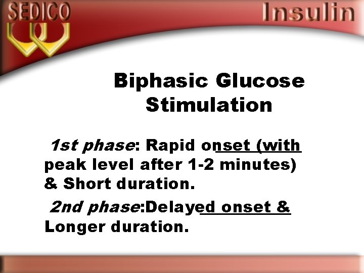 Biphasic Glucose Stimulation 1 st phase: Rapid onset (with peak level after 1 -2