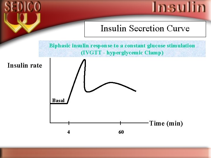 Insulin Secretion Curve Biphasic insulin response to a constant glucose stimulation (IVGTT - hyperglycemic