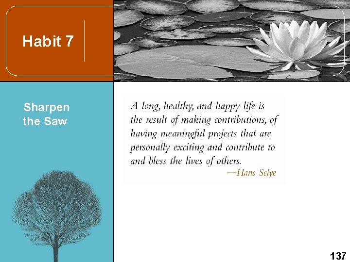 Habit 7 Sharpen the Saw 137 