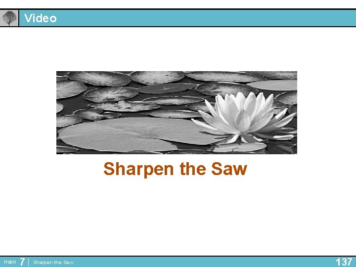 Video Sharpen the Saw Habit 7 Sharpen the Saw 137 