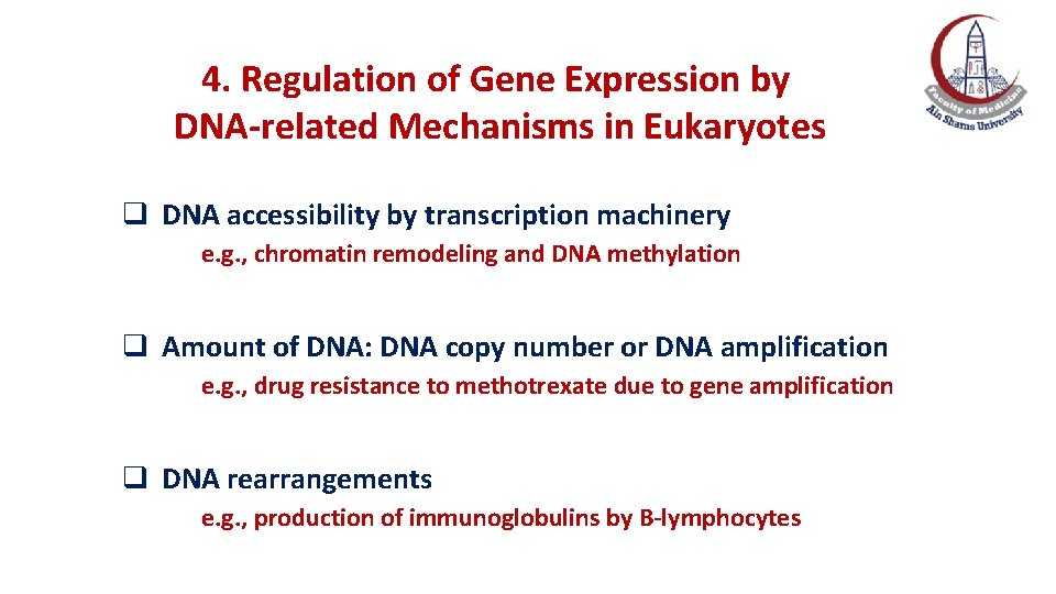 4. Regulation of Gene Expression by DNA-related Mechanisms in Eukaryotes q DNA accessibility by