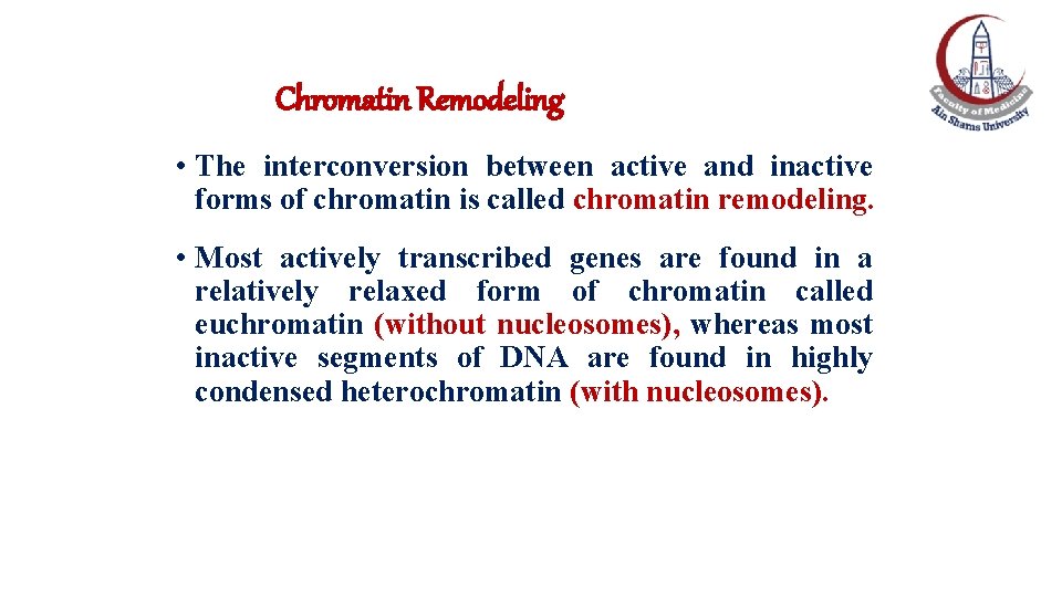 Chromatin Remodeling • The interconversion between active and inactive forms of chromatin is called