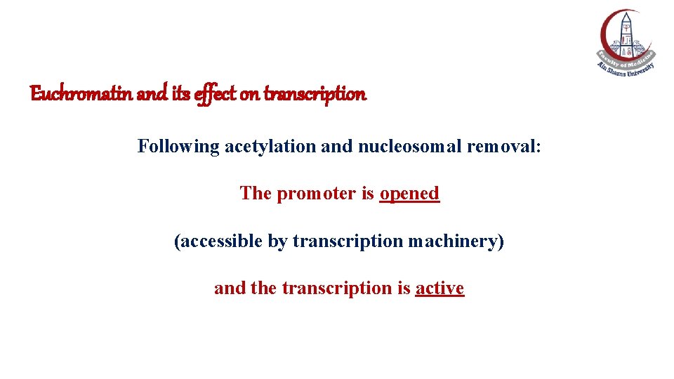 Euchromatin and its effect on transcription Following acetylation and nucleosomal removal: The promoter is Euchromatin and its effect on transcription Following acetylation and nucleosomal removal: The promoter is