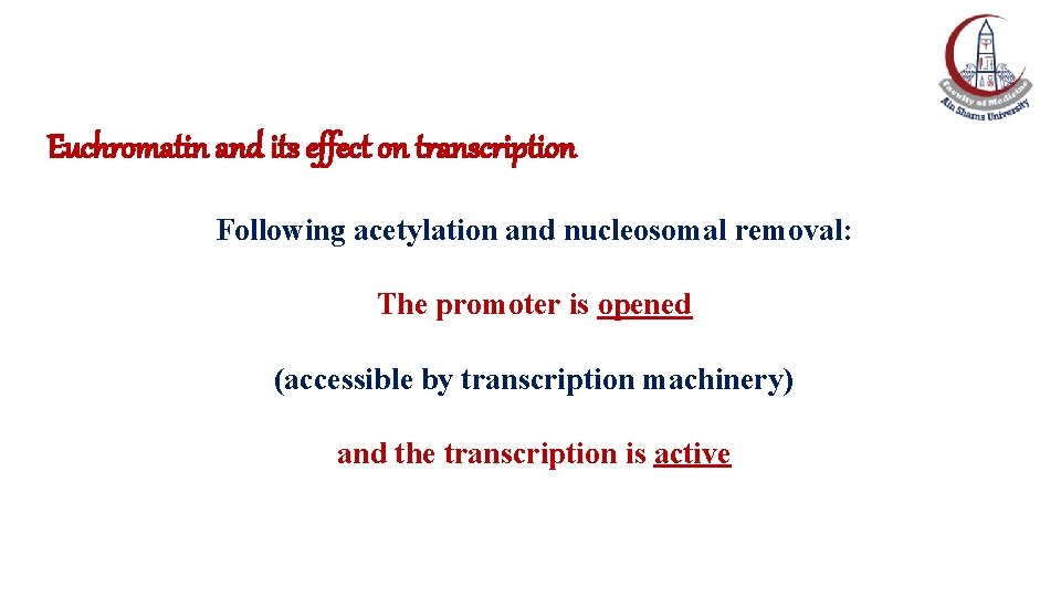 Euchromatin and its effect on transcription Following acetylation and nucleosomal removal: The promoter is