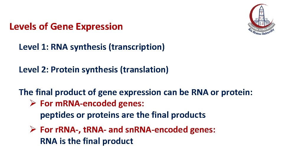 Levels of Gene Expression Level 1: RNA synthesis (transcription) Level 2: Protein synthesis (translation) Levels of Gene Expression Level 1: RNA synthesis (transcription) Level 2: Protein synthesis (translation)