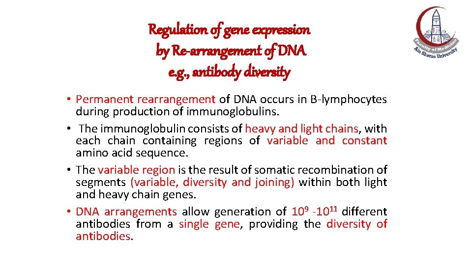 Regulation of gene expression by Re-arrangement of DNA e. g. , antibody diversity • Regulation of gene expression by Re-arrangement of DNA e. g. , antibody diversity •