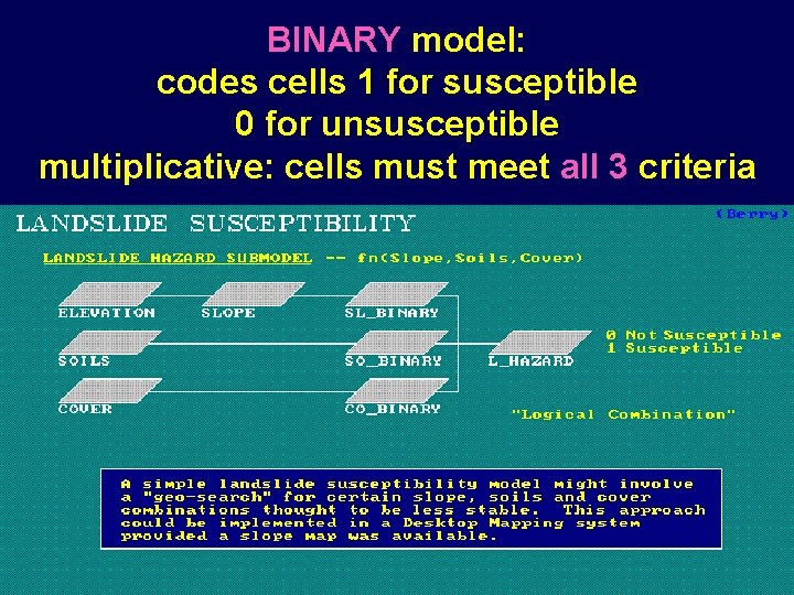 BINARY model: codes cells 1 for susceptible 0 for unsusceptible multiplicative: cells must meet