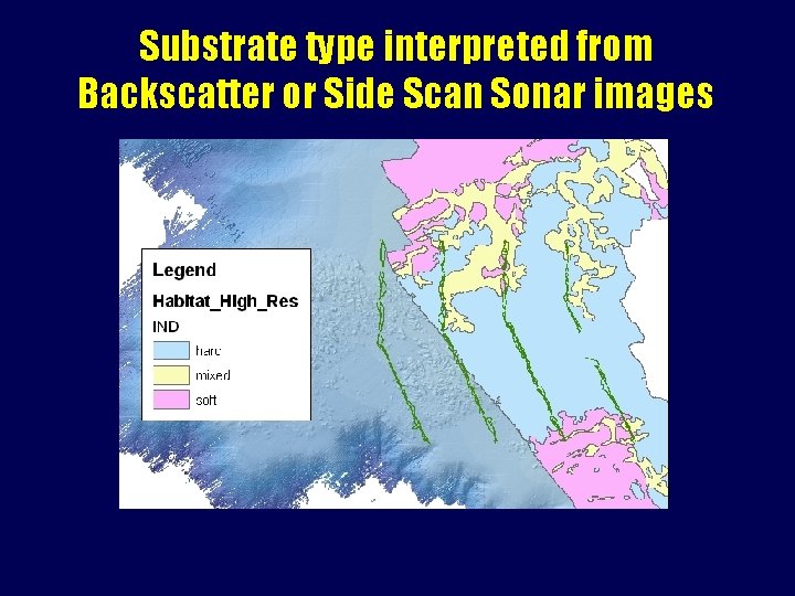 Substrate type interpreted from Backscatter or Side Scan Sonar images 