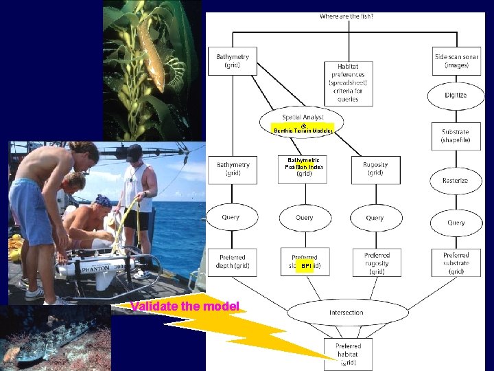 & Benthic Terrain Modeler Bathymetric Position Index BPI Validate the model 