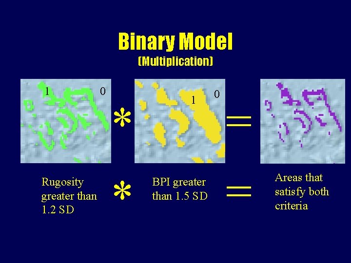 Binary Model (Multiplication) 1 0 * Rugosity greater than 1. 2 SD * 1