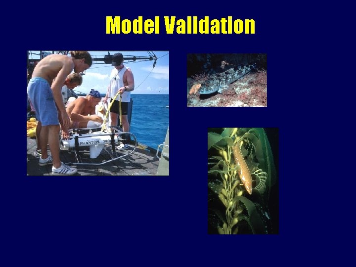 Model Validation 