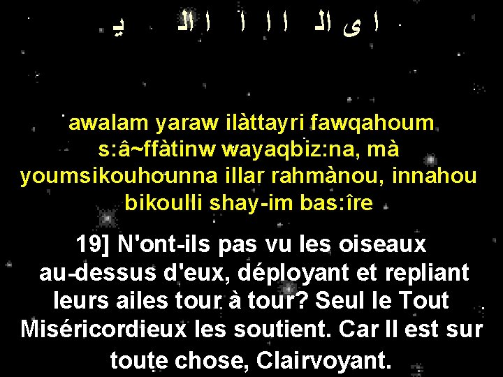 ﻳ ﺍ ﻯ ﺍﻟ ﺍ ﺍ ﺍﻟ awalam yaraw ilàttayri fawqahoum s: â~ffàtinw ﻳ ﺍ ﻯ ﺍﻟ ﺍ ﺍ ﺍﻟ awalam yaraw ilàttayri fawqahoum s: â~ffàtinw