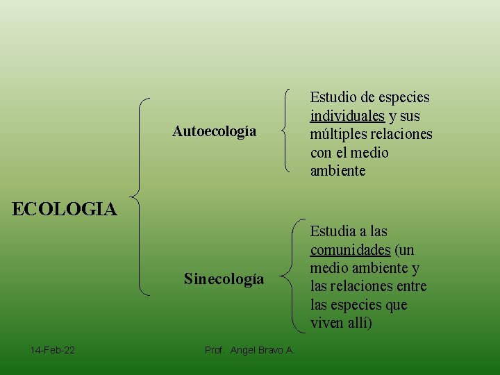 Autoecología Estudio de especies individuales y sus múltiples relaciones con el medio ambiente ECOLOGIA