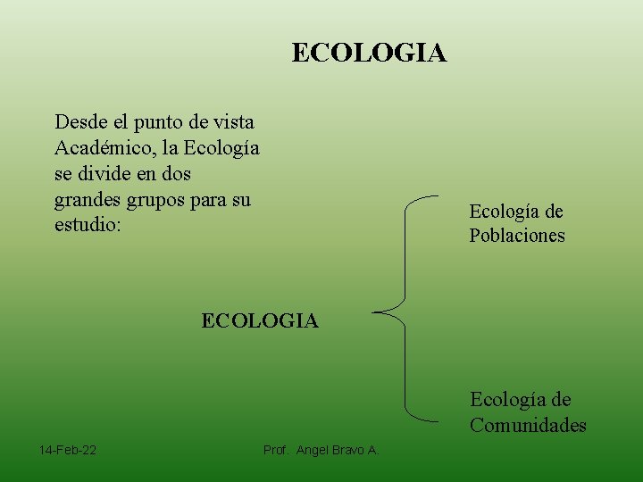 ECOLOGIA Desde el punto de vista Académico, la Ecología se divide en dos grandes