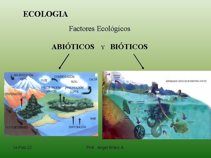 ECOLOGIA Factores Ecológicos ABIÓTICOS 14 -Feb-22 Y BIÓTICOS Prof. Angel Bravo A. 