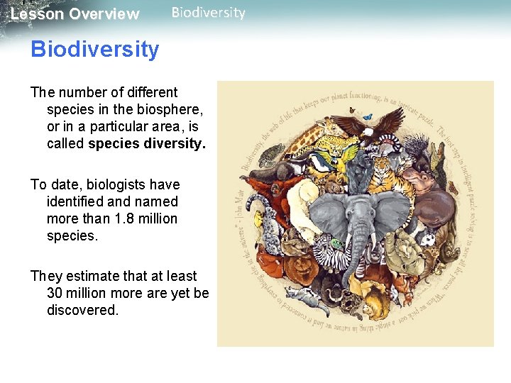 Lesson Overview Biodiversity The number of different species in the biosphere, or in a