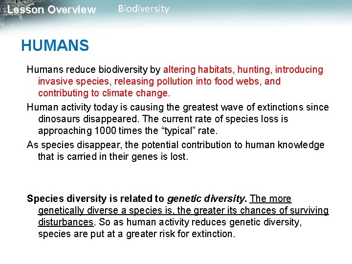 Lesson Overview Biodiversity HUMANS Humans reduce biodiversity by altering habitats, hunting, introducing invasive species,