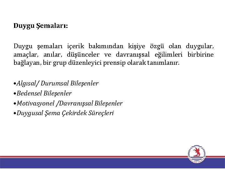 Duygu Şemaları: Duygu şemaları içerik bakımından kişiye özgü olan duygular, amaçlar, anılar, düşünceler ve