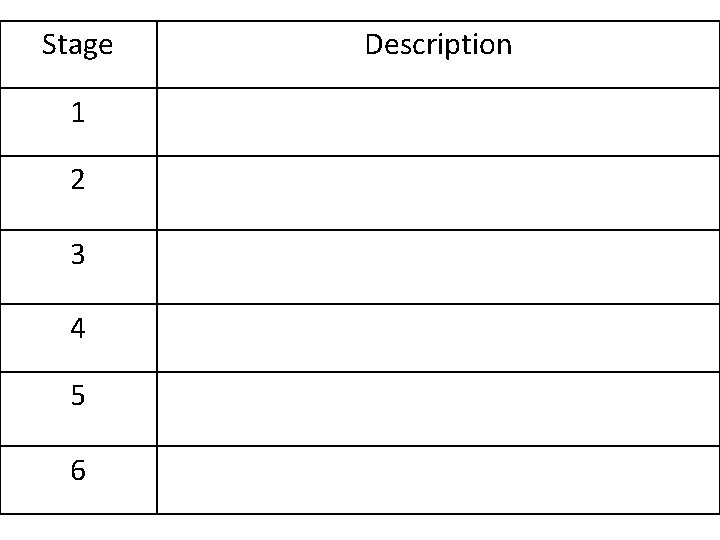 Stage Description 1 Gene is located on the human chromosome 2 Gene is removed