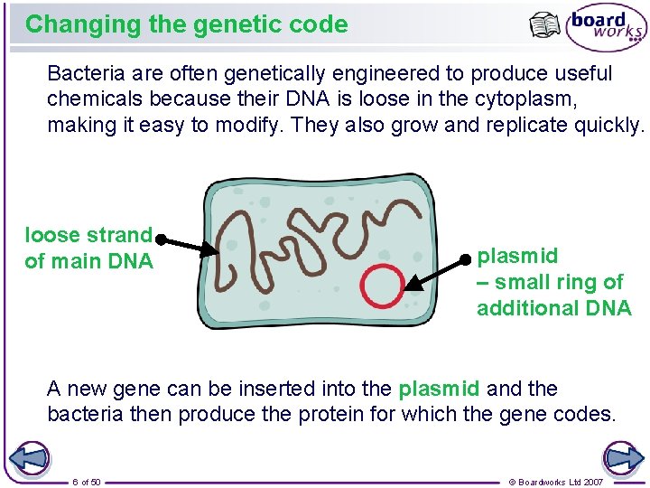 Changing the genetic code Bacteria are often genetically engineered to produce useful chemicals because
