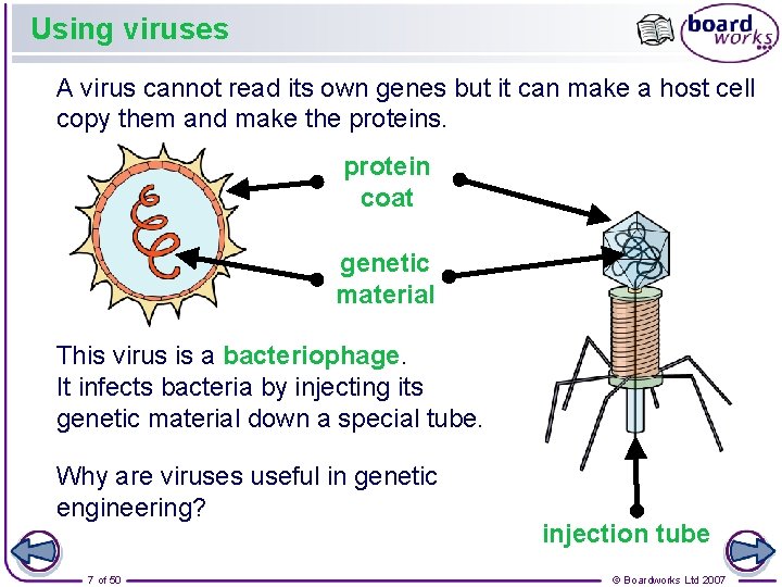 Using viruses A virus cannot read its own genes but it can make a