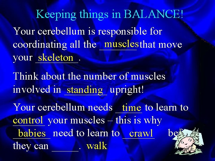 Keeping things in BALANCE! Your cerebellum is responsible for muscles that move coordinating all