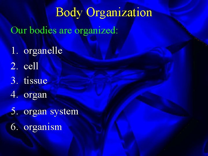 Body Organization Our bodies are organized: 1. 2. 3. 4. organelle cell tissue organ