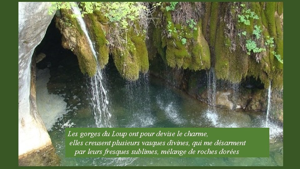 Les gorges du Loup ont pour devise le charme, elles creusent plusieurs vasques divines,