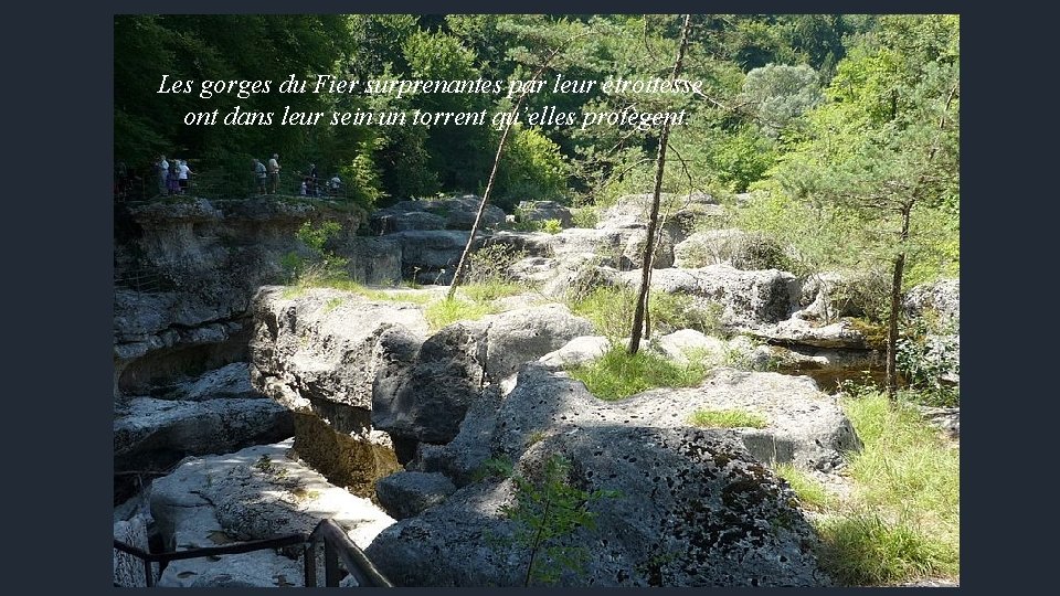 Les gorges du Fier surprenantes par leur étroitesse ont dans leur sein un torrent