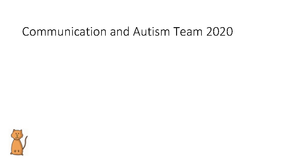 Communication and Autism Team 2020 